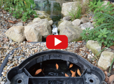 お庭の池　スキマー　水質改善