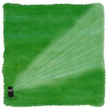 芝生スプリンクラー潅水