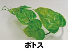 クリックすると拡大します。