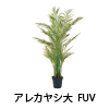 アレカヤシ大 FUV仕様変更 アレカヤシ大 FUV仕様変更