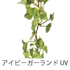 イビーガーランドUV仕様変更
