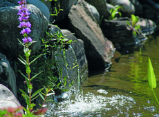 ポンドテックキット　自宅の庭に池が簡単につくれるキット