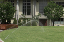 芝生緑化_学校_自動灌水